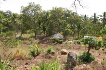 indonesia-lembata-019.jpg