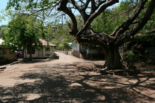 indonesia-lembata-027.jpg