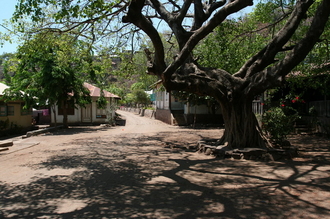 indonesia-lembata-027.jpg