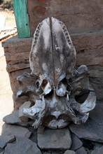 indonesia-lembata-033.jpg