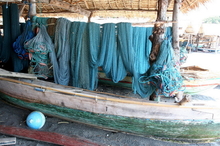 indonesia-lembata-042.jpg