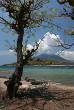 indonesia-alor-016.jpg