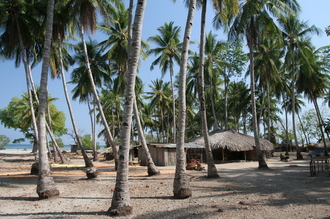 Indonesia - Timor