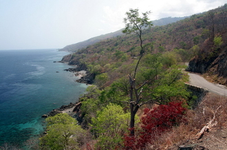 east-timor-005.jpg
