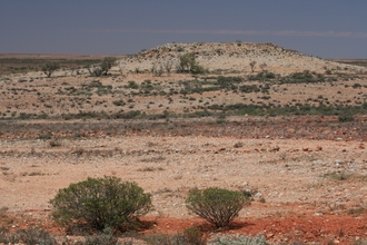 IMG_8708.JPG