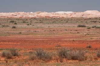 IMG_8724.JPG
