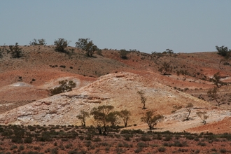 IMG_8763.JPG