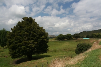 IMG_8946.JPG