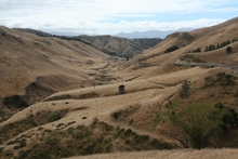 IMG_8958.JPG
