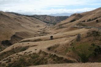 IMG_8958.JPG