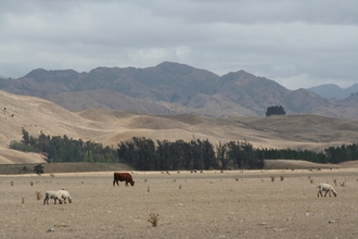 IMG_8963.JPG