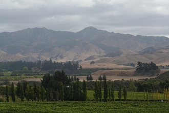 IMG_8964.JPG