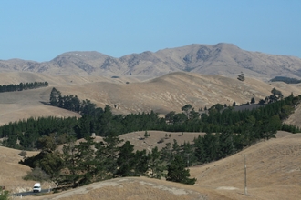 IMG_8970.JPG