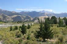 IMG_8977.JPG