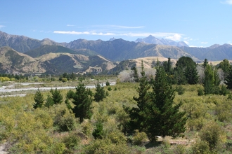IMG_8977.JPG