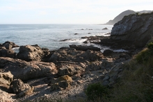 IMG_8996.JPG