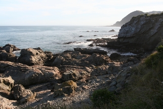 IMG_8996.JPG