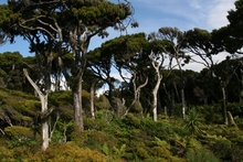 IMG_9110-1.JPG
