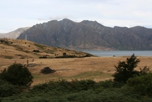 IMG_9158-1.JPG