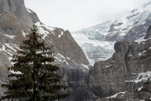 swiss-02.jpg