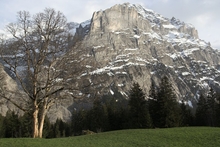 swiss-06.jpg