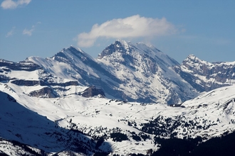 swiss-12.jpg