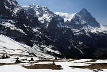 swiss-20.jpg