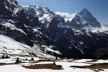 swiss-20.jpg