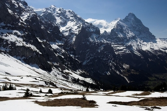 swiss-20.jpg