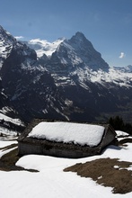 swiss-23.jpg