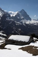 swiss-23.jpg