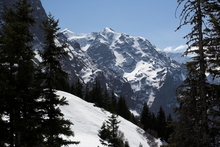 swiss-24.jpg