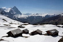 swiss-25.jpg