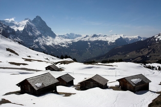 swiss-25.jpg