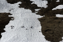 swiss-31.jpg
