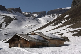 swiss-33.jpg