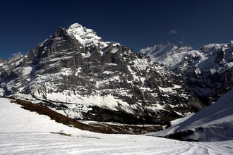 swiss-38.jpg