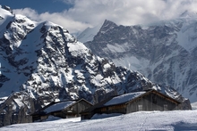 swiss-41.jpg