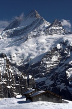 swiss-42.jpg