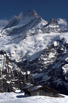 swiss-42.jpg