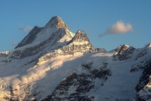 swiss-48.jpg