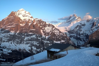 swiss-54.jpg