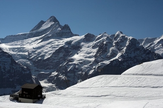swiss-58.jpg