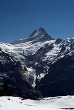 swiss-64.jpg