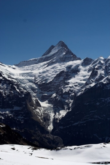 swiss-64.jpg