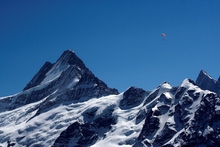 swiss-67.jpg