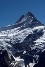 swiss-68.jpg