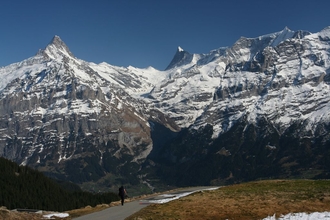 swiss-96.JPG