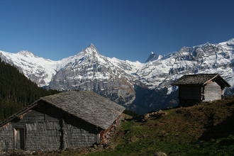 swiss-97.JPG