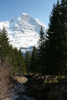 swiss-98.JPG